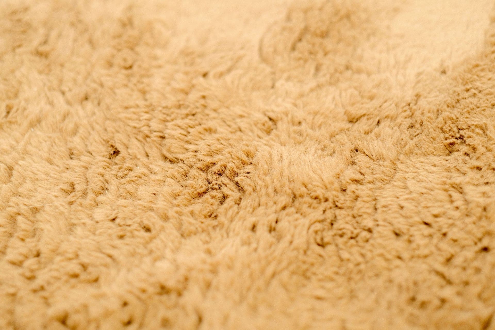 A close-up of soft tan faux fur pile