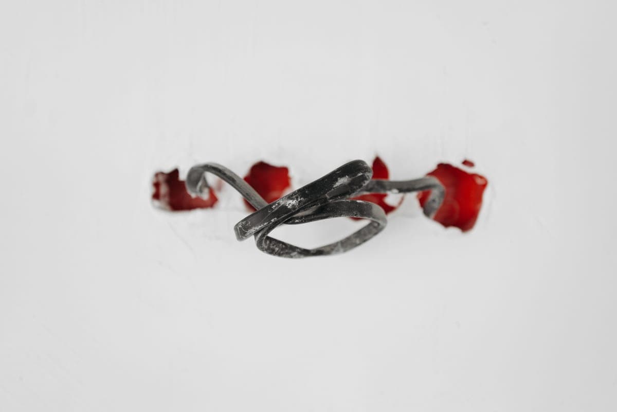 A frayed and damaged electrical cord